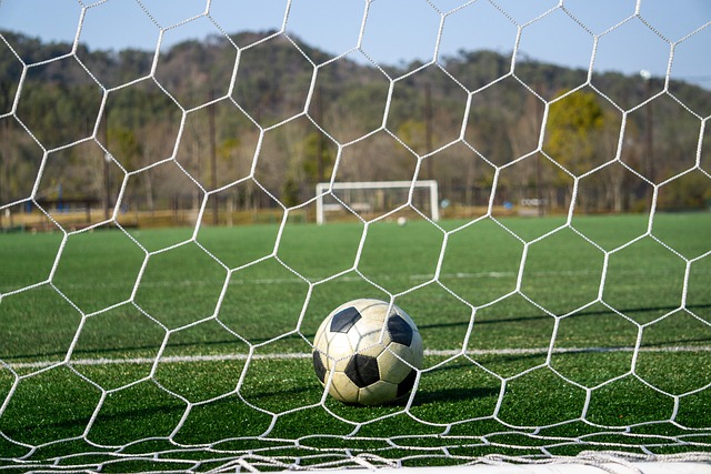 在比分上 在比分上