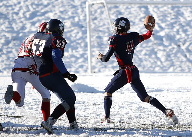 据了优势 据了优势